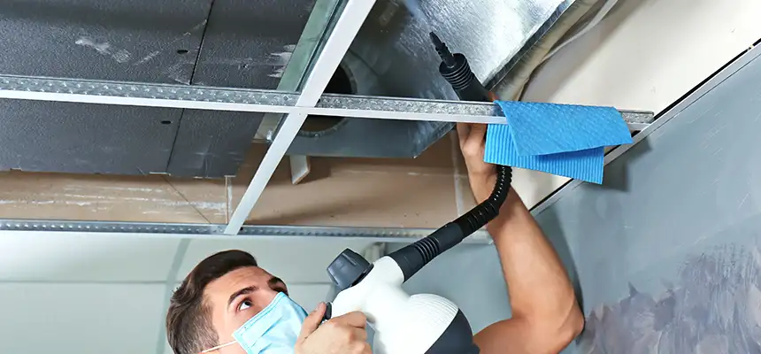 Our Air Duct Rodent Removal Services in Coppell, TX