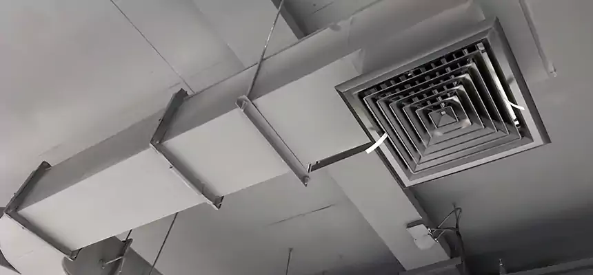 Restorative Allergy Relief Vent Cleaning – Coil, Blower & Housing Detail in Coppell