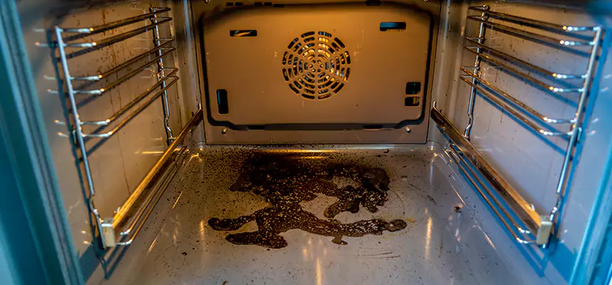 Our Dryer Vent Mold Cleaning Services in Coppell, TX