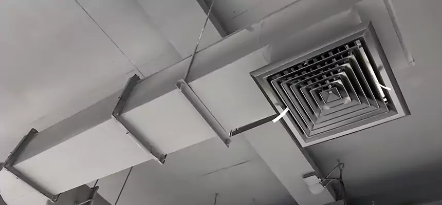 Our Pest Removal From Ducts Services in Coppell, TX