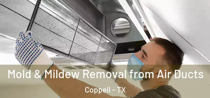  Mold & Mildew Removal from Air Ducts Coppell - TX
