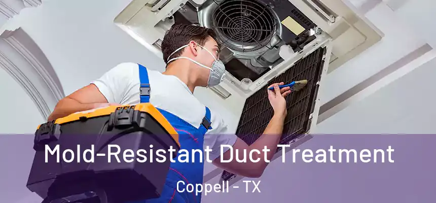  Mold-Resistant Duct Treatment Coppell - TX