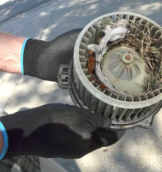 About Air Duct Mice Removal in Coppell, TX