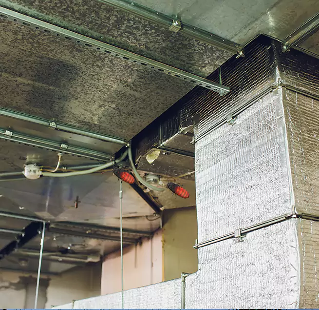 Why Homeowners & Businesses Trust Us in Coppell, TX?