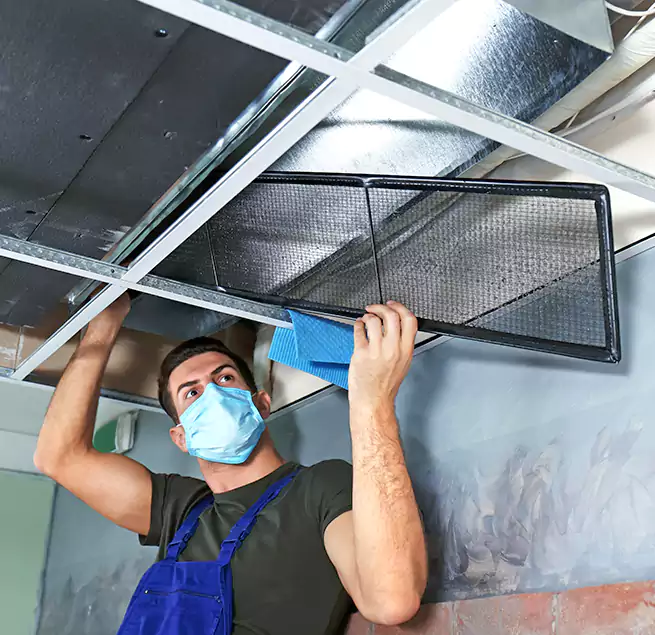 Why Homeowners Businesses Trust Us in Coppell, TX