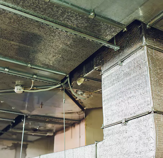 Why Homeowners & Businesses Trust Us in Coppell, TX?